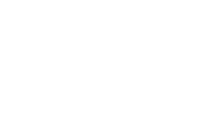 Evo